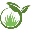 Palmdale Lawn Clean Up