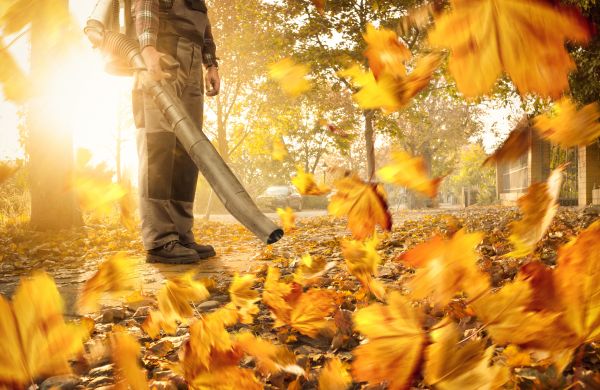 Leaf Blowing Service in Palmdale