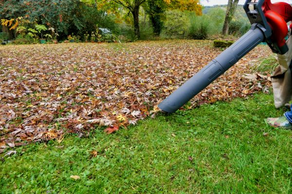 Leaf Vacuuming Service in Palmdale