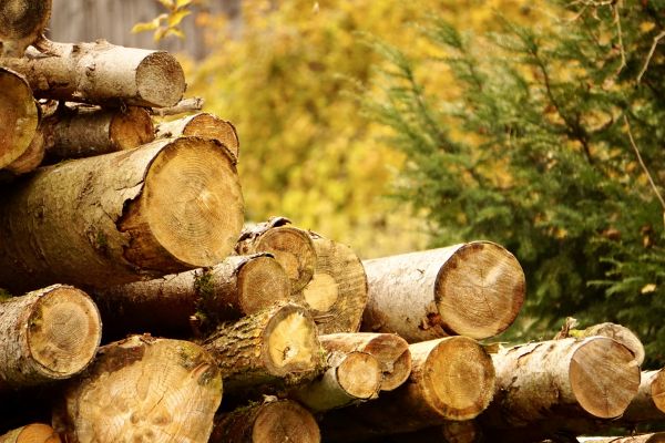 Wood Pile Removal in Palmdale