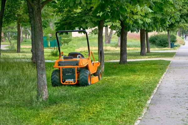 Landscaping Cleanup Service in Palmdale