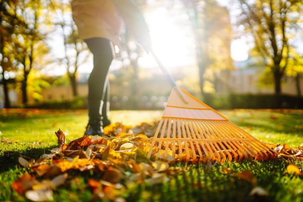 Leaves Raking in Palmdale