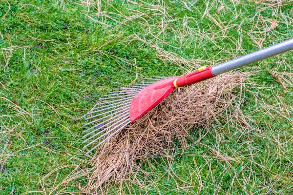 Yard Raking in Palmdale
