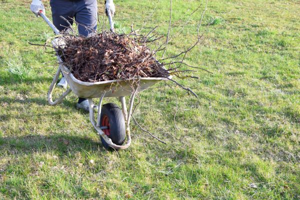 Yard Brush Removal in Palmdale