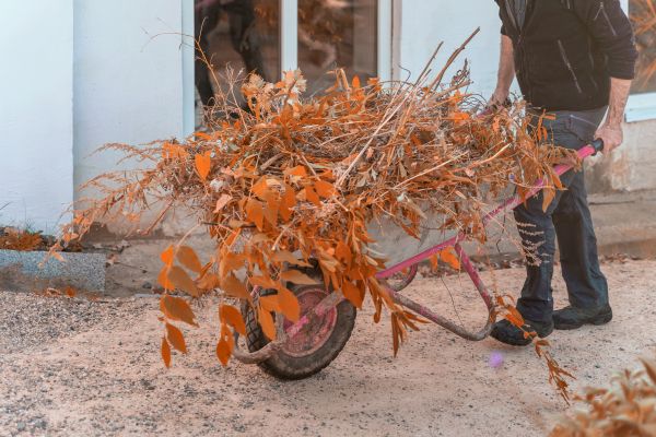 Lawn Debris Cleanup in Palmdale