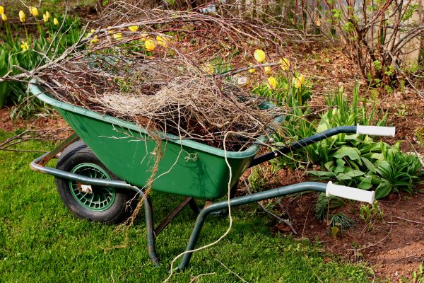 Lawn Waste Removal in Palmdale
