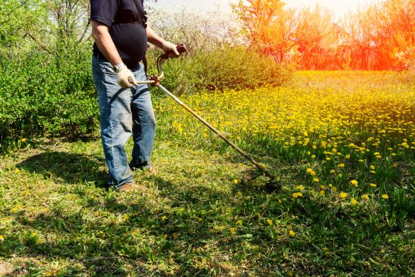 Yard Clearing Service in Palmdale