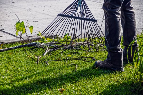 Yard Debris Cleanup in Palmdale
