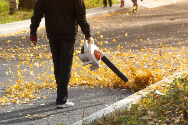 Commercial Leaf Removal in Palmdale