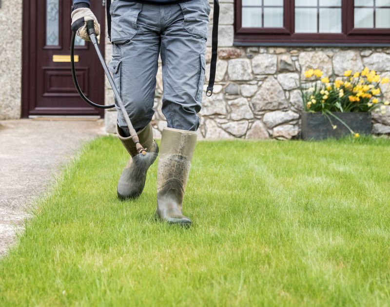 Yard Preparation for Seasons